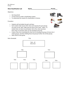 classification essay on shoes