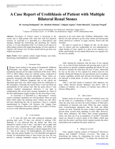 A Case Report of Urolithiasis of Patient with Multiple Bilateral Renal