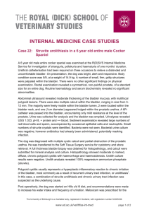 INTERNAL MEDICINE CASE STUDIES