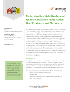 Understanding Yield Grades and Quality Grades for Value