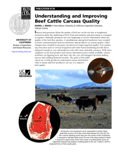 Understanding and Improving Beef Cattle Carcass Quality