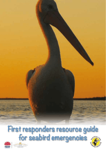 First responders resource guide for seabird emergencies