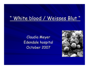 White blood / Weisses Blut