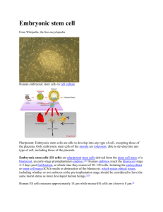 Embryonic stem cell