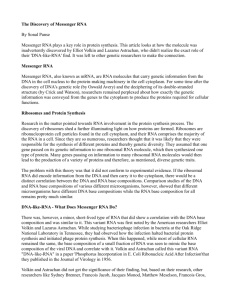 The Discovery of Messenger RNA