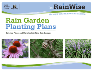 Rain Garden Planting Plans