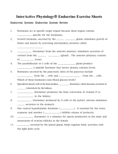 InterActive Physiology   Endocrine Exercise Sheets