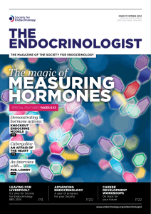 MEASuRING HORMONES - Society for Endocrinology