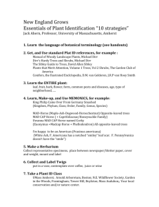 New England Grows Essentials of Plant Identification “10 strategies”