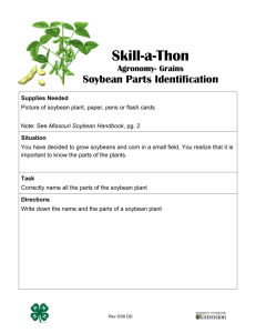 Skill-a-thon: Soybean Parts Identification - Missouri 4-H