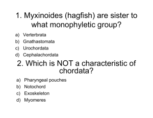 1. Myxinoides (hagfish) are sister to h h l i ? what monophyletic