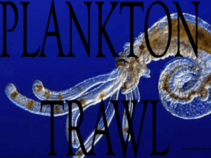 plankton-trawl