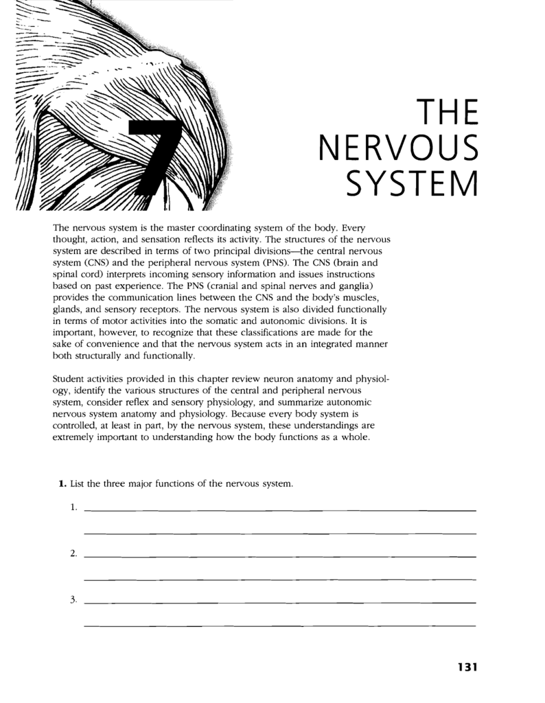 Anatomy And Physiology Coloring Workbook Answer Key
