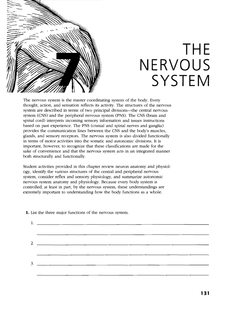 THE NERVOUS SYSTEM