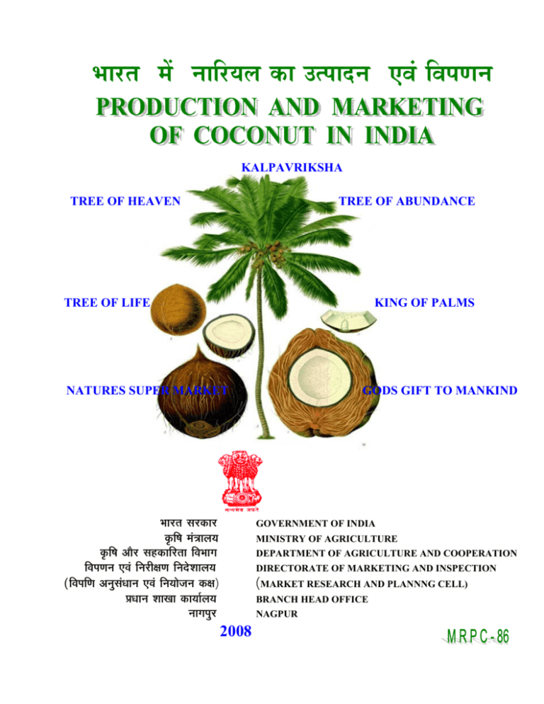 business plan for coconut production