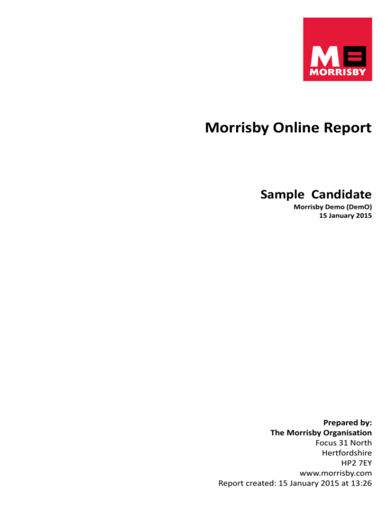 Morrisby Online Report Dragon Career Associates