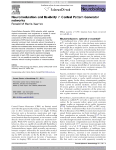 Neuromodulation and flexibility in Central Pattern Generator networks