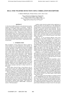 Real-Time Wildfire Detection Using Correlation Descriptors