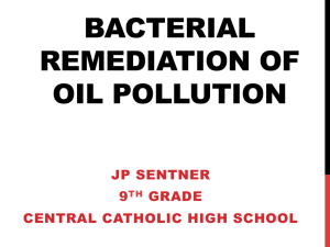 BACTERIAL REMEDIATION OF OIL POLLUTION
