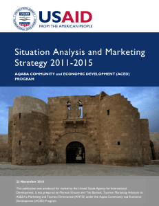 Situation Analysis and Marketing Strategy 2011-2015