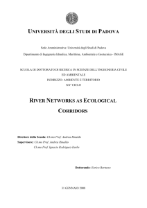 università degli studi di padova river networks as ecological corridors