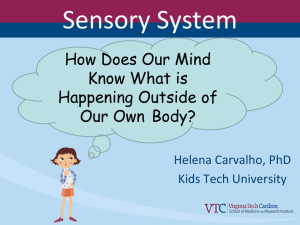 Sensory System - Kids' Tech University