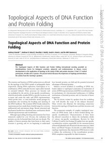 Topological Aspects of DNA Function and Protein Folding