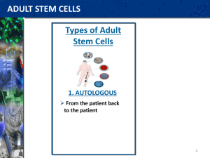 ADULT STEM CELLS Types of Adult Stem Cells