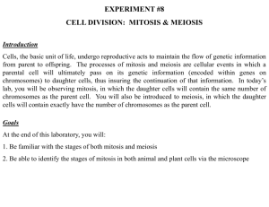experiment #8 cell division: mitosis & meiosis