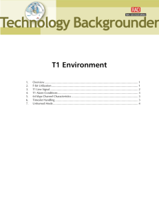 T1 Environment