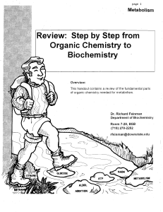 Review: Step by Step from Organic Chemistry to Biochemistry
