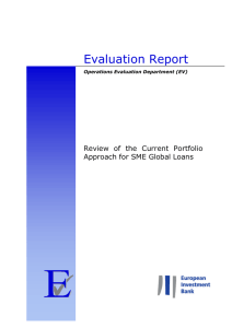 Review of the current portfolio approach for SME global loans