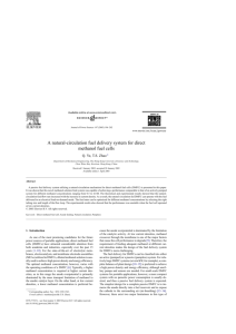 A natural-circulation fuel delivery system for direct methanol fuel cells