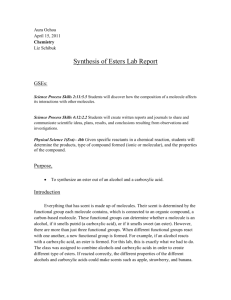 Synthesis of Esters Lab Report