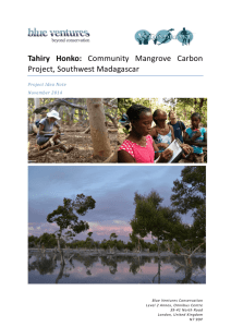 Tahiry Honko: Community Mangrove Carbon Project, Southwest