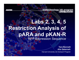 Labs 2, 3, 4, 5 Restriction Analysis of pARA and pKAN-R