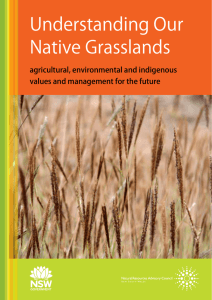 Understanding Our Native Grasslands