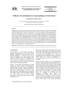Influence of sourdough use on rope spoilage of wheat bread
