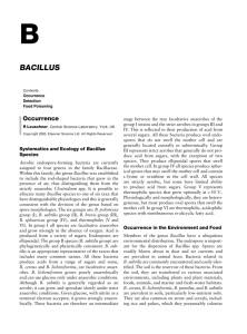 bacillus - Elsevier Science ExtraNet