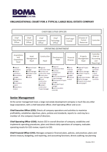 organizational chart for a typical large real estate company