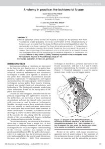 Anatomy in practice: the ischiorectal fossae