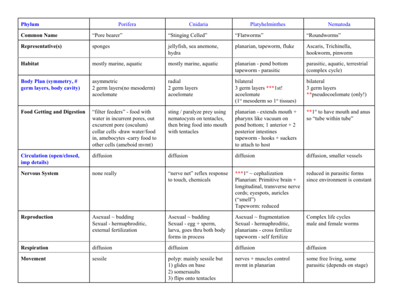 cnidaria porifera platyhelminthes)