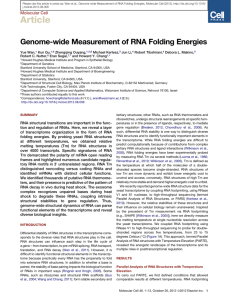 Genome-wide Measurement of RNA Folding Energies