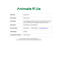 Animals R Us