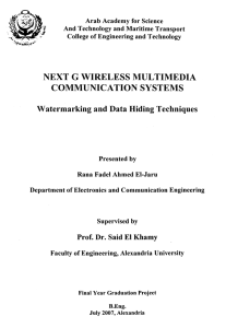 next g wireless multimedia communication systems