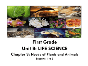 First Grade Unit B: LIFE SCIENCE
