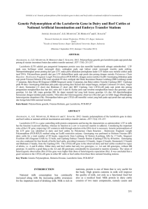 Polymorfisme genetik gen lactoferrin pada sapi perah dan potong di