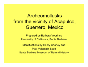 Archeomollusks from the vicinity of Acapulco, Guerrero, Mexico