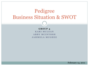 Pedigree Business Situation & SWOT