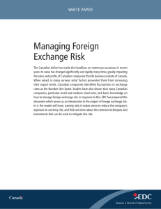 White Paper - Managing Foreign Exchange Risk
